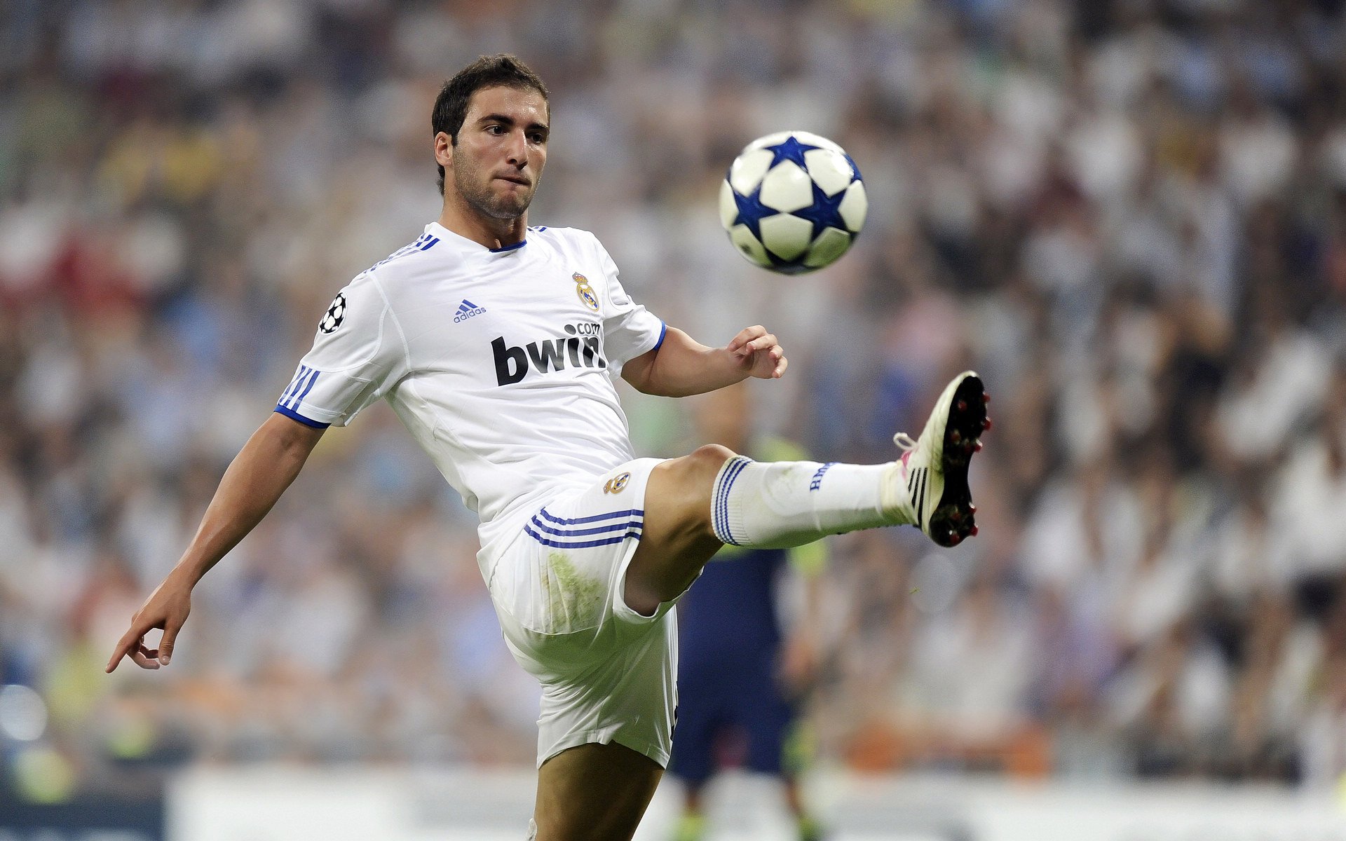 乌拉圭队士气高昂，期待在2026年再创新高